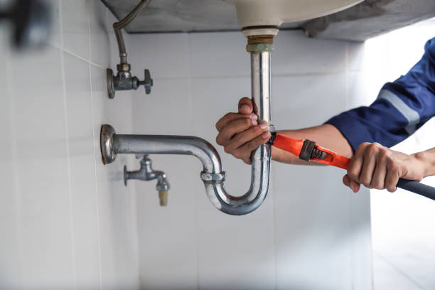 Best Local Plumber Services  in Farmville, NC